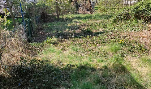 Grundstück in Bonn Friesdorf