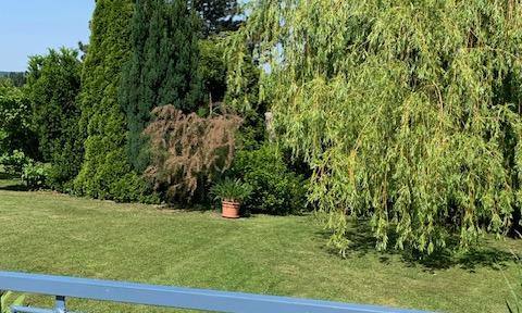 Garden - Building plot