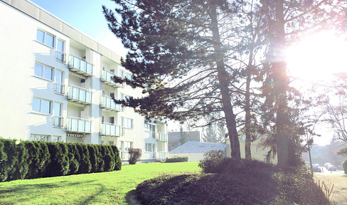 Wunderschöne 3-Zimmer-Wohnung in beliebtem Wiesbaden-Bierstadt