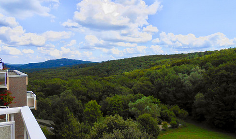 From private: dreamlike 4-room apartment on the edge of the forest with a view over the Taunus