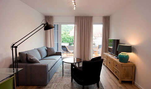 As-new 2-room apartment with luxurious interior in Eberdingen