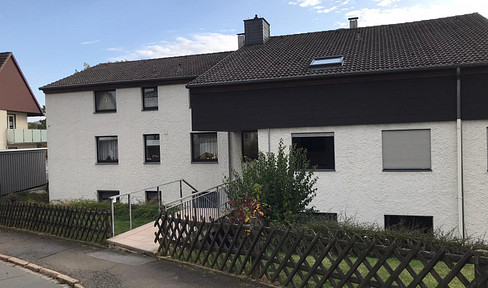 Schöne Terrassen-Wohnung direkt am Park + neue Küche + 4 Parkplätze