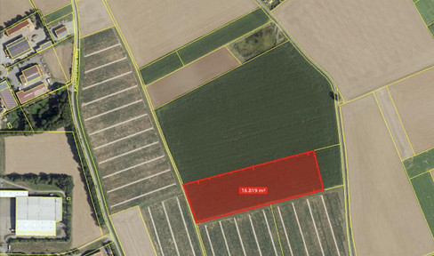 Landwirtschaftliche Fläche, Ackerland, Ausgleichsfläche, Ackerfläche, Feld, Acker