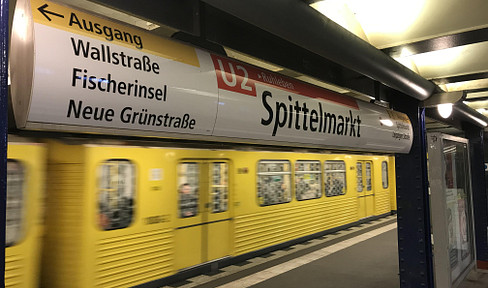 Small temporary city apartment in Mitte / Spittelmarkt