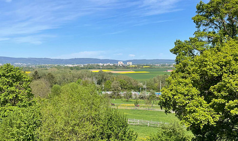 Doppelhaushälfte mit Einliegerwohnung und Blick auf die Niddawiesen und Taunus