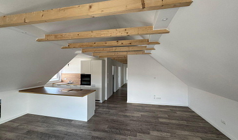 Newly converted modern attic apartment