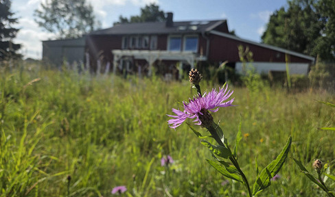 Modernity meets nature - life with a vision