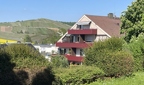 Fantastic 3.5-room apartment in Flein with a great view