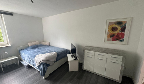 Fully furnished 1 room apartment in a good location in Erlangen