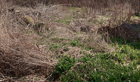 Building plot near the lake