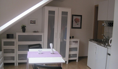 Beautiful, newly renovated one-room apartment, attic, kitchenette and bathroom/WC