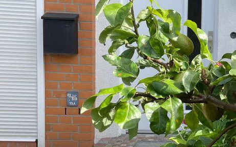 Schönes Reihenhaus in Neuallermöhe-West zu mieten