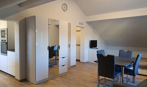 Furnished 1-room apartment / Europapark / Good highway connection