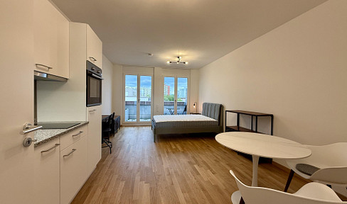 NEUBAU – Erstbezug! Stilvoll möbliertes 1-Zimmer-Apartment mit großer Dachterrasse