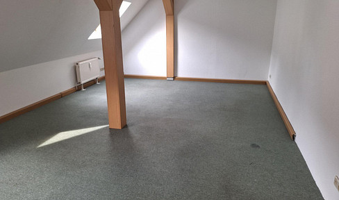 3-room apartment in the city center