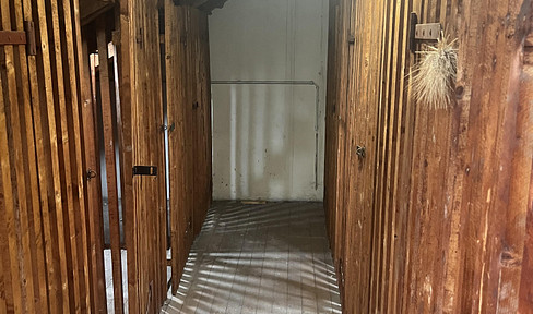 Attic space with lots of potential for sale