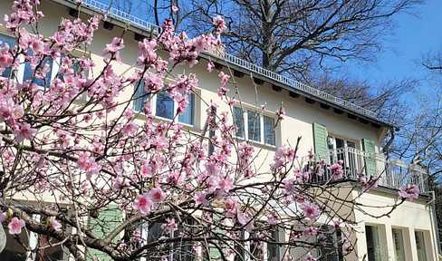 Stylish villa with lake view, large garden & historic charm