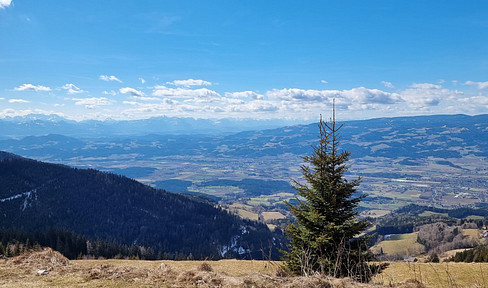 Parkähnliches Traumgrundstück mit fast 50.000 qm für privat von privat