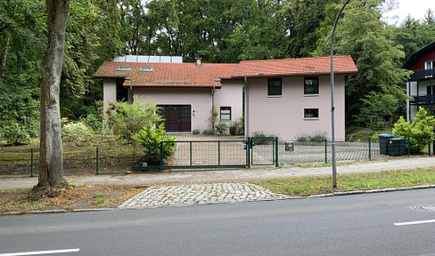 Green oasis on the outskirts of the city