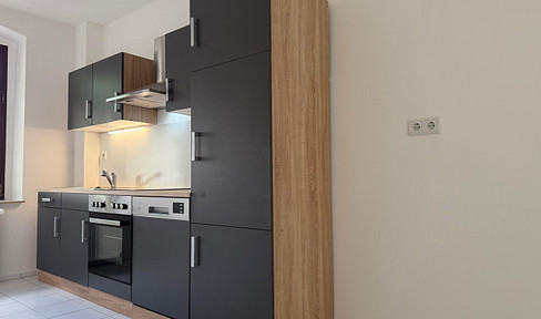 modern 1 room apartment fitted kitchen first occupancy after renovation central