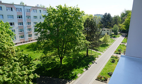 renovated and rented with 7% yield