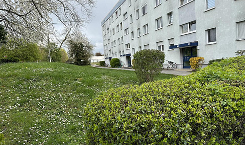 4 room apartment in Mainz Bretzenheim + Exclusive offer of another 4 room apartment