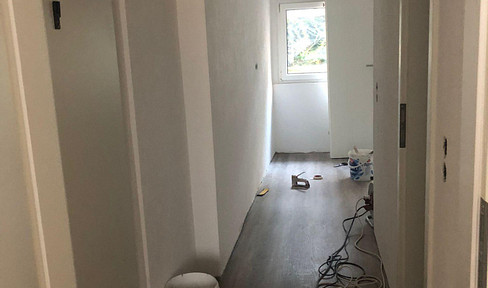 Completely renovated 1-room apartment