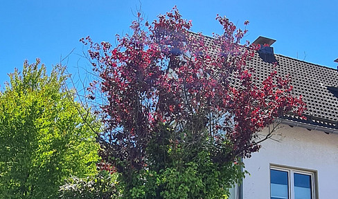 Nice & quiet 2 room, 40 sqm apartment garden EBK parking lot