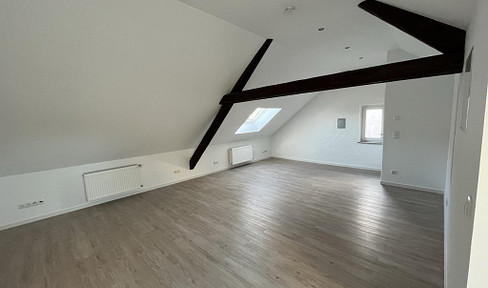 Attractive detached house - completely renovated in 2022