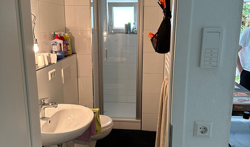 1 room apartment for rent from 01.08.2025