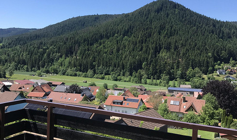 Apartment with beautiful view, renovated, with indoor parking space, commission-free.