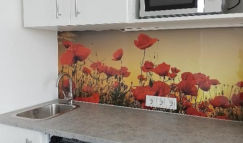 1-room apartment, free, completely renovated with great view