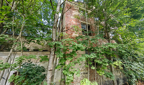 Project plot with renovation property - 14,000 m², direct from the owner, without commission