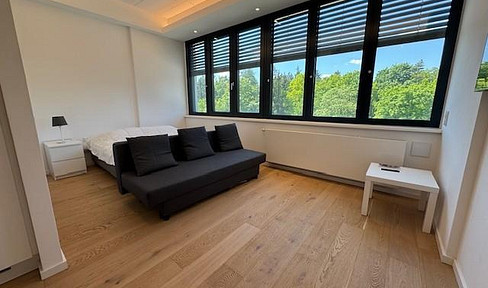 Great 1 room apartment