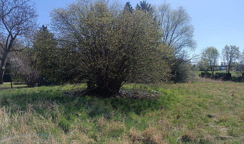 RESERVED - **2,536 m2 of land** near Braunschweig -
