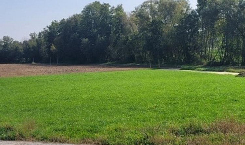 Baugründe