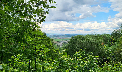 Building site - outskirts, distant view