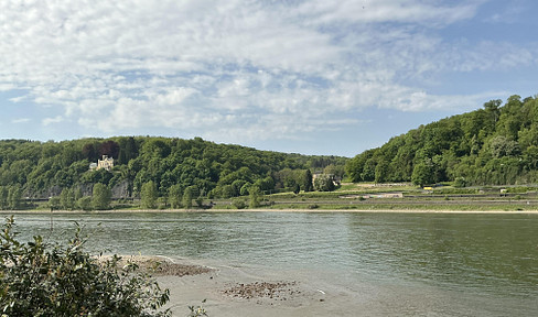 erste Rheinlage, Erstbezug, Luxus mit Küche , energieeffizient