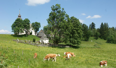 RARITÄT AUF DER ALM
