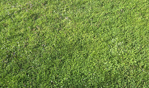 Developer's plot in the center of Hollabrunn