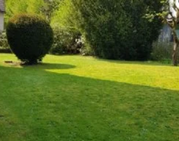 3-Zi Komfort Wohnung voll möbliert mit Garten am Dönche Naturpark