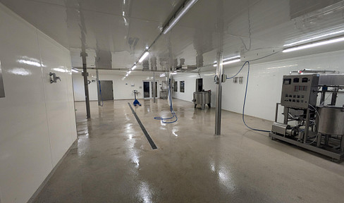 Warehouse / storage room / production room for food processing
