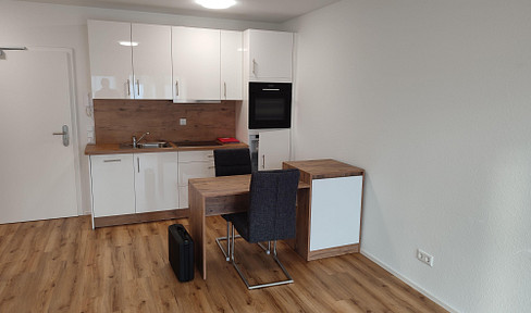 Heilbronn Innenstadt. Teilmöbliertes 2-Zi. Appartement mit Loggia und neuer Einbauküche