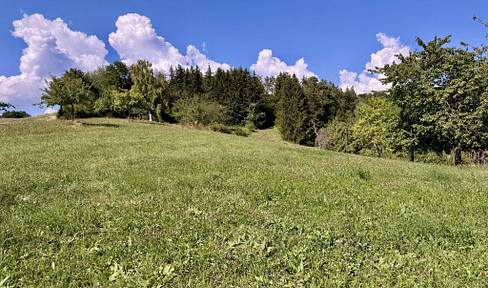 Beautiful leisure property with hayloft view and alpine panorama