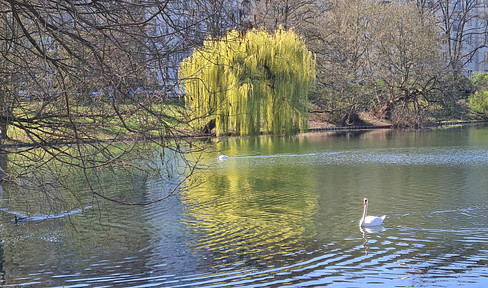 Provisionsfreie Altbauwohnung mit Fahrstuhl und Blick auf den Lietzensee