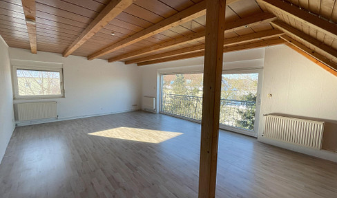 Great, large attic apartment