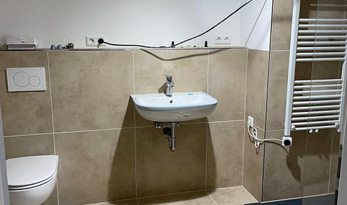 Completely renovated 4-room apartment
