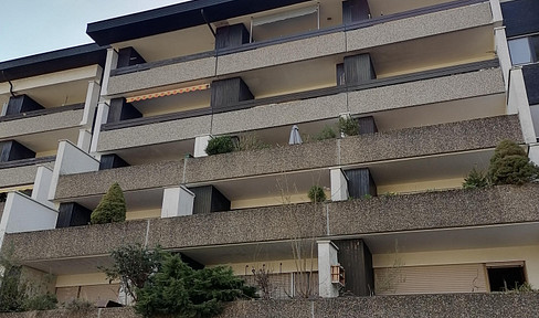 Nice quiet 1-room apartment with EBK and terrace in Bad Liebenzell