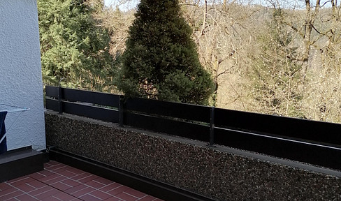 Nice quiet 1-room apartment with EBK and terrace in Bad Liebenzell