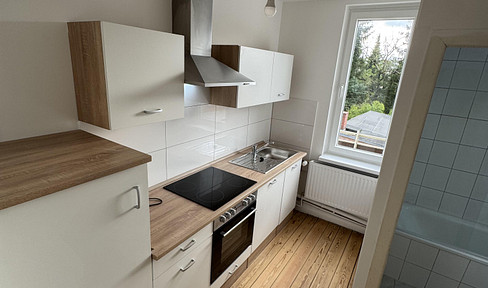 With a view: Bright, completely renovated apartment with balcony